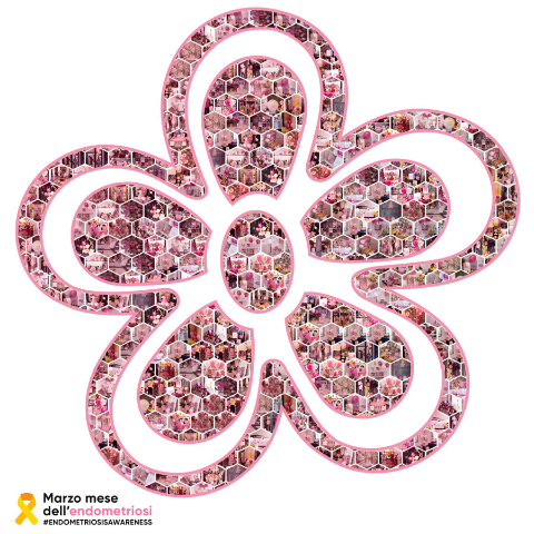 Il Comune di Pontecchio Polesine ha abbracciato l’iniziativa “Vetrine consapevoli” per sensibilizzare sull’endometriosi