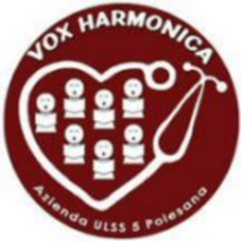 "Musica e solidarietà" con il coro Vox Harmonica