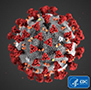 Aggiornamento sul focolaio internazionale da nuovo coronavirus 2019-nCoV 